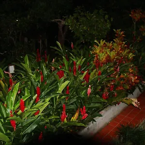 L'ecomusee Creole De La Guadeloupe Sainte-Rose